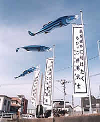 かつおのぼり写真