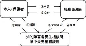 療育手帳交付までの流れイメージ図